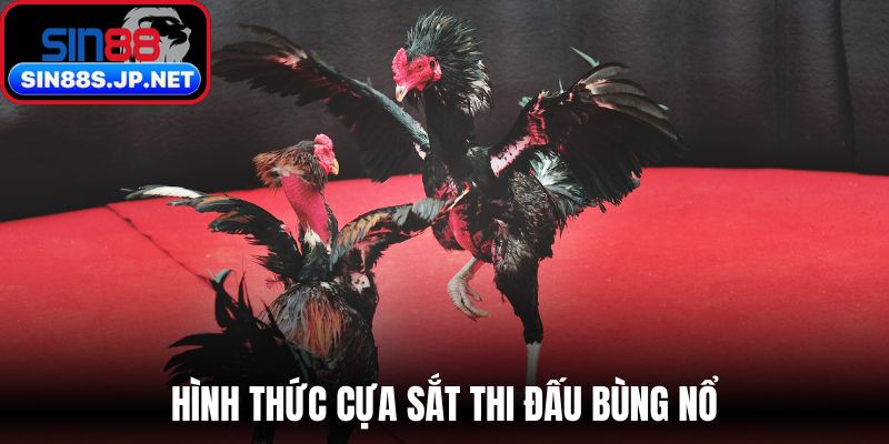 Hình thức cựa sắt thi đấu bùng nổ