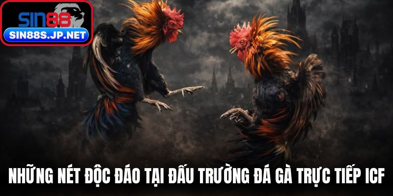 Những nét độc đáo tại đấu trường đá gà trực tiếp ICF 