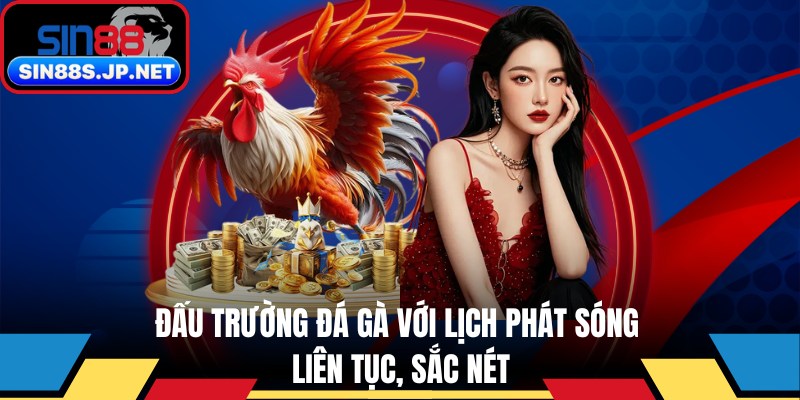 Đấu trường đá gà với lịch phát sóng liên tục, sắc nét